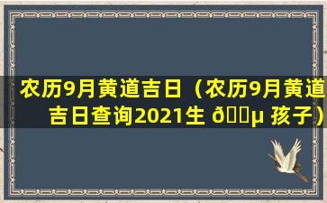 农历9月黄道吉日（农历9月黄道吉日查询2021生 🌵 孩子）